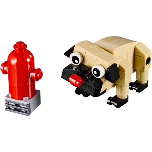 Cute Pug