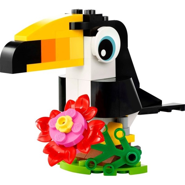 Tropical Toucan