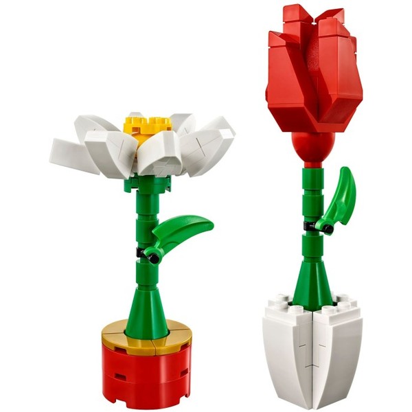 Flower Display